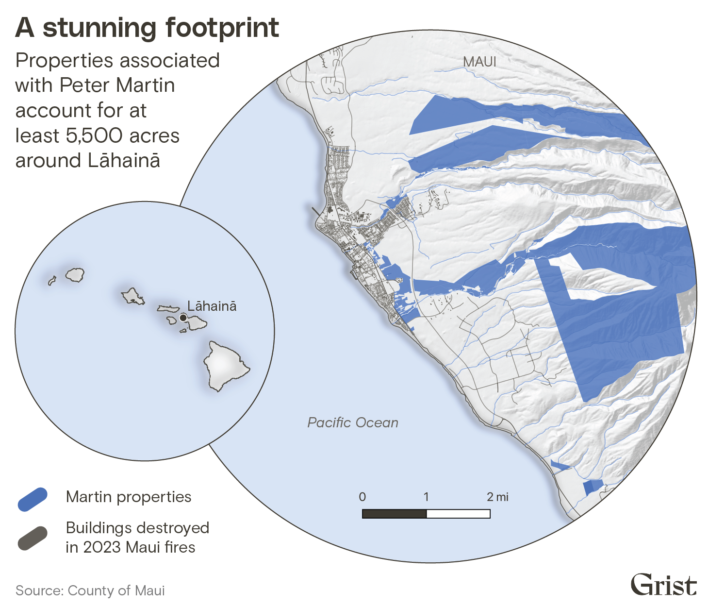 The libertarian developer looming over West Mauis water conflict