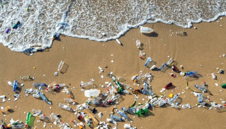 Plastic Pollution In The Ocean