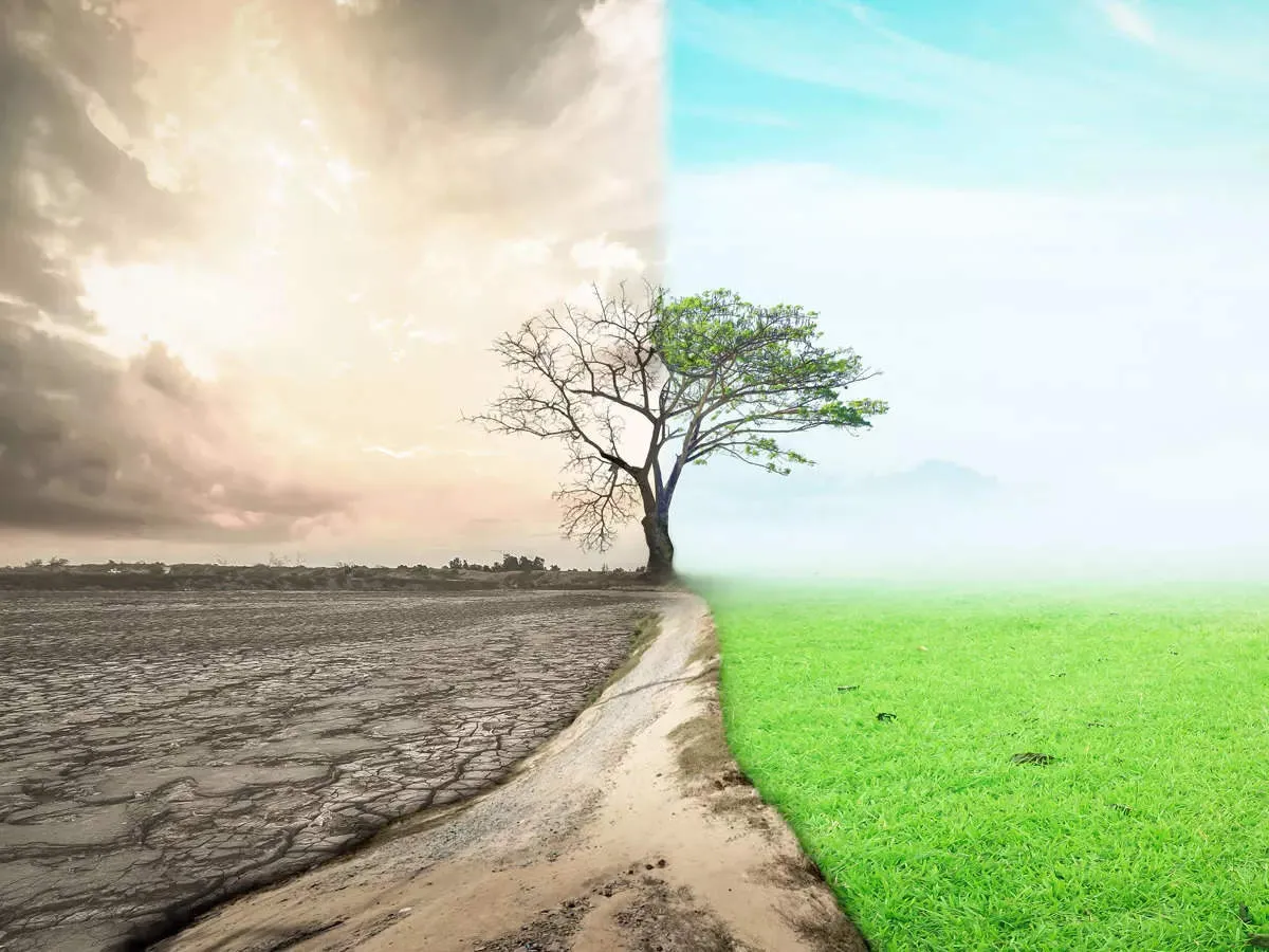 A Complete Guide to Environmental Issues Facing the World Today