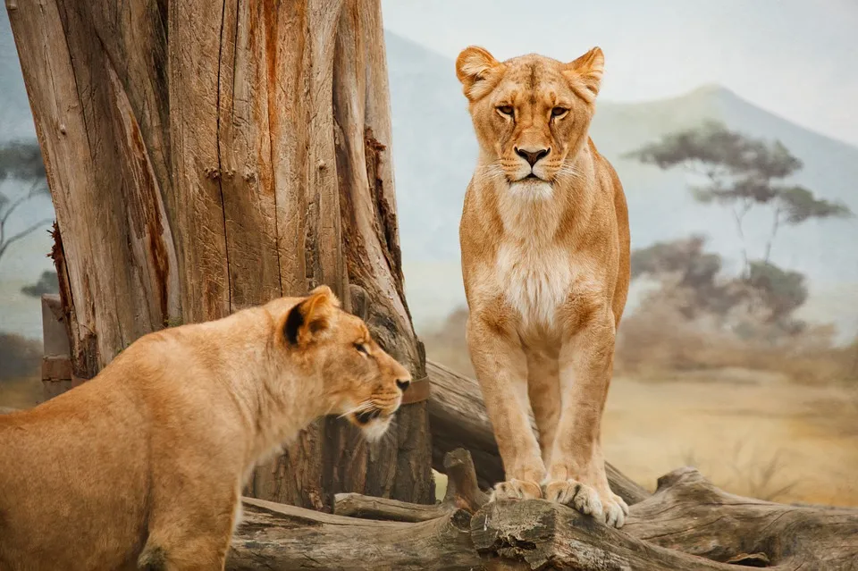 Top 15 Most Dangerous Wildlife Animals in the World