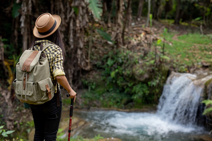 Trending Popular Forest Travel Destinations