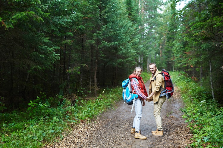 Trending Popular Forest Travel Destinations 2026: Cheap Spots and Lonely Planet Picks