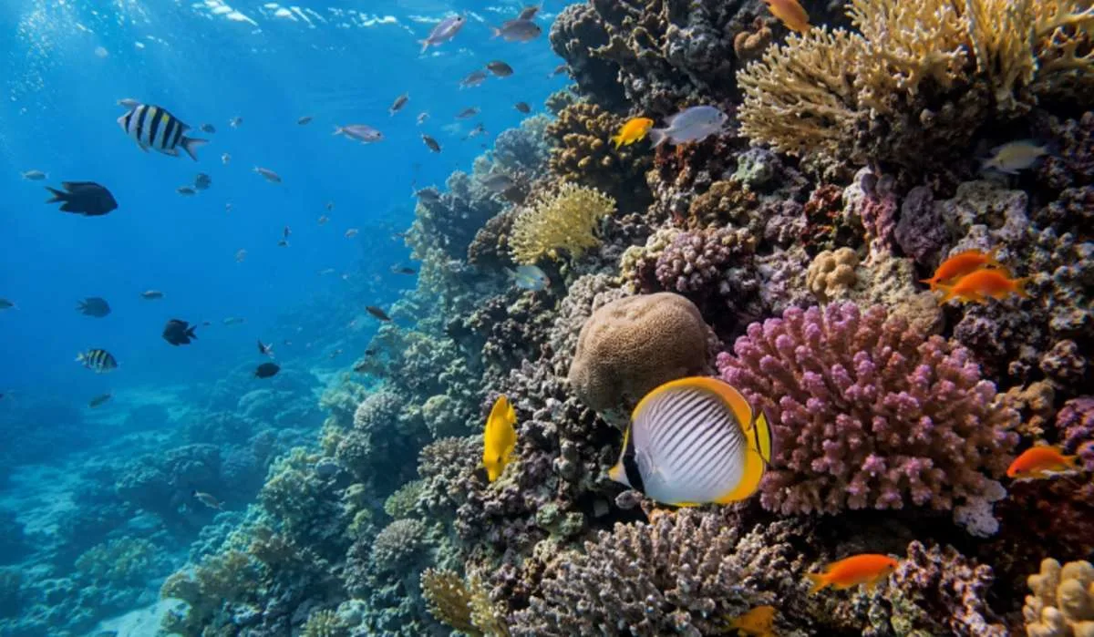 Latest Wildlife Conservation Projects Saving Nature Worldwide