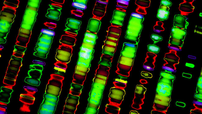 For The First Time In History, Entire Human Genome Has Been Sequenced