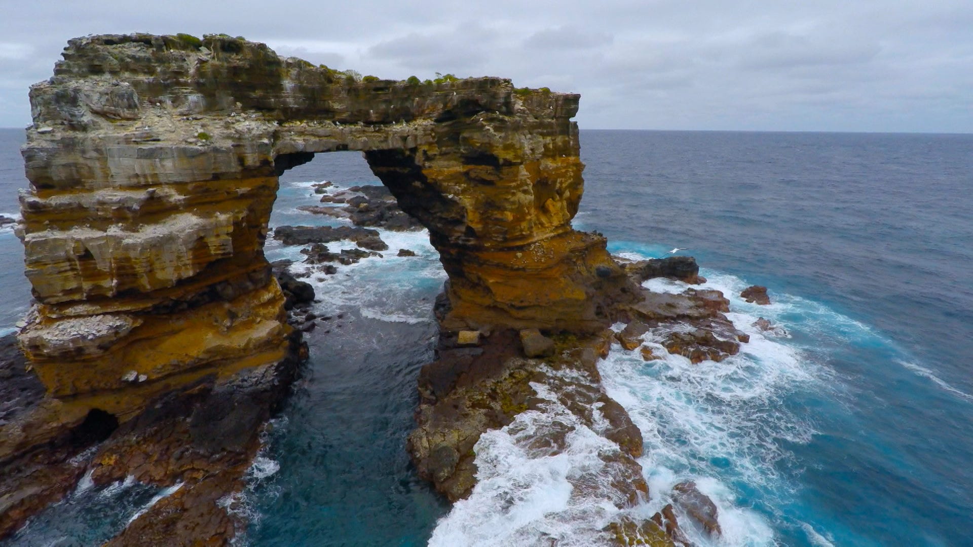 Darwin’s Arch In The Galapagos Has Crumbled Into The Sea