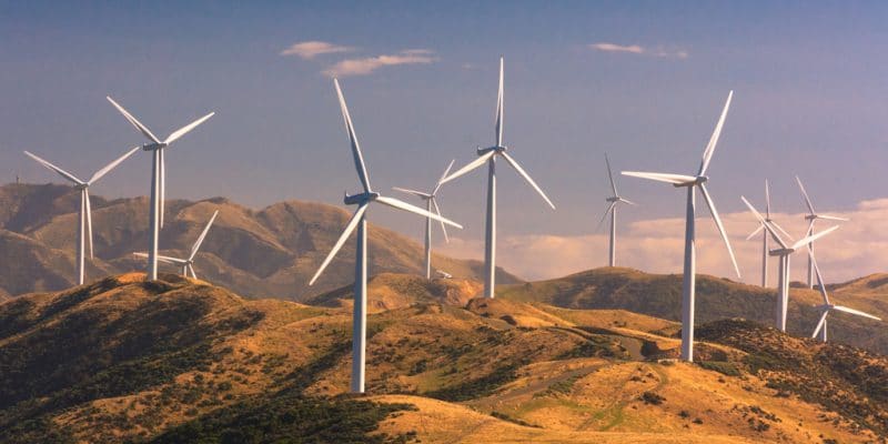 Why Painting Wind Turbine Blades Can Save Birds Lives