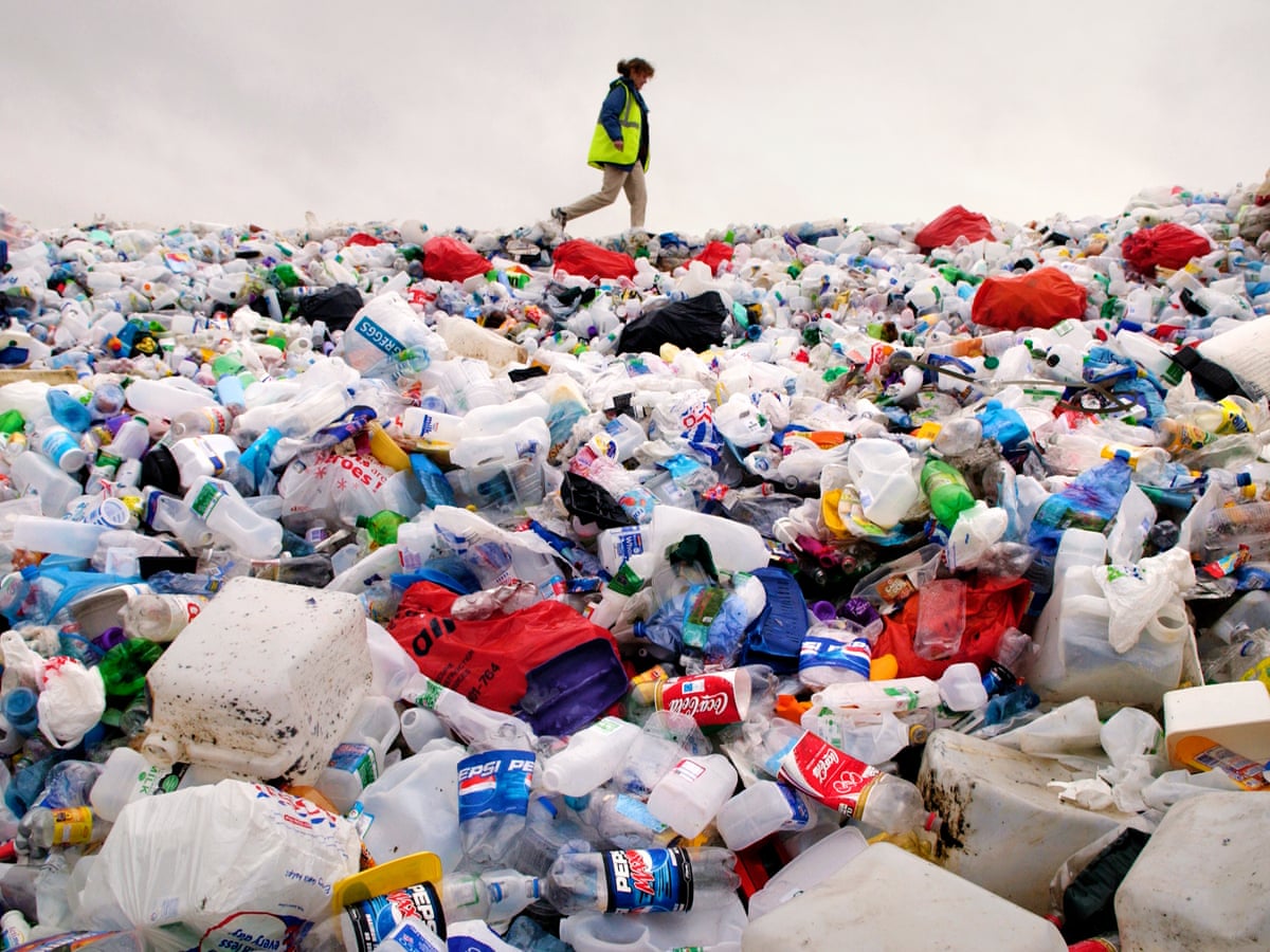 A New Method Helps Turn Plastic Into Proteins, Wins $1.2 Million Prize