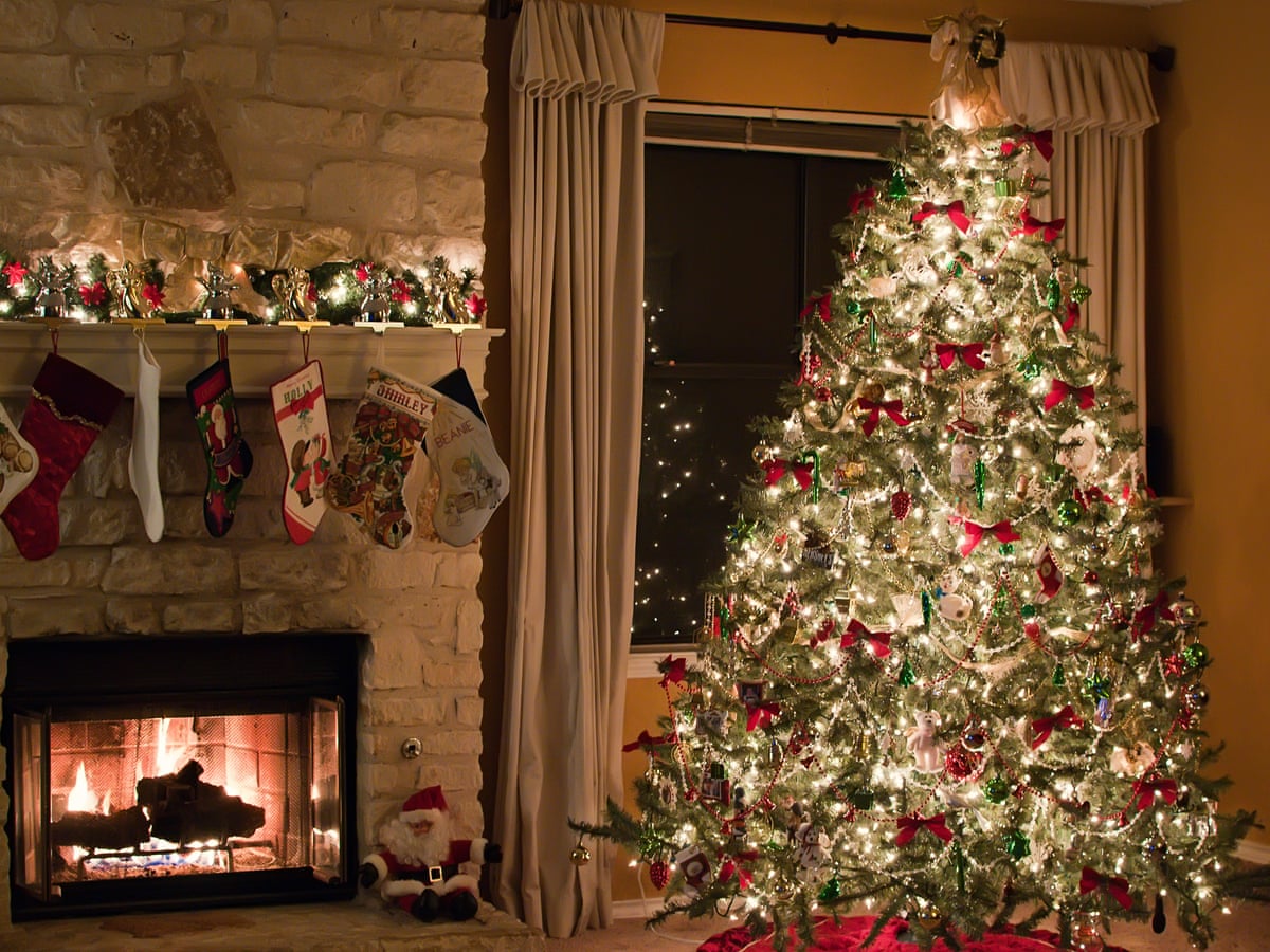 Which Are Actually Better For The Environment, Real Or Fake Christmas Trees?